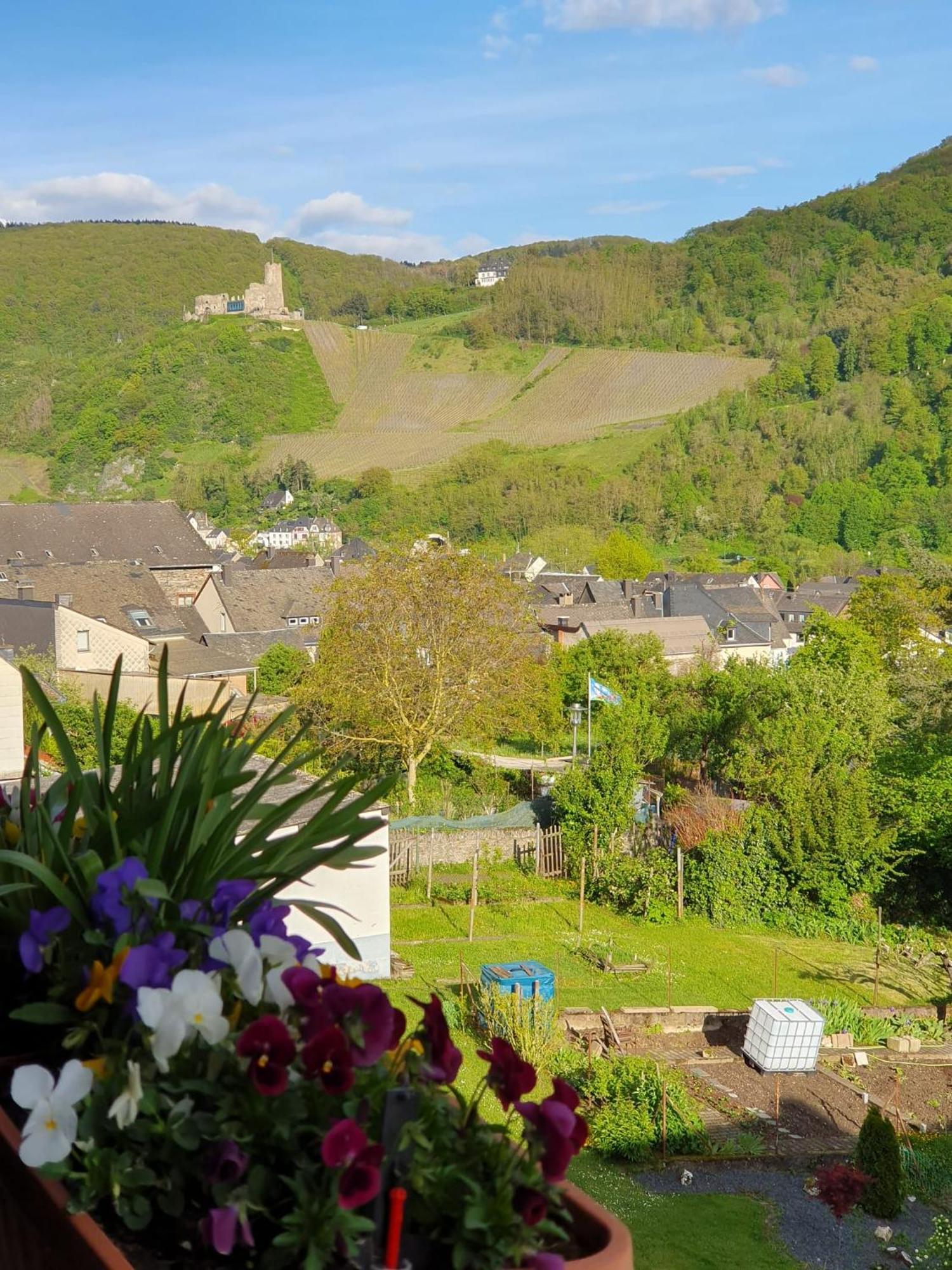 Ferienwohnung Bauer Bernkastel-Kues Exteriér fotografie